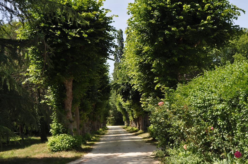 Les Longchamps Bed & Breakfast Neuillé Eksteriør bilde
